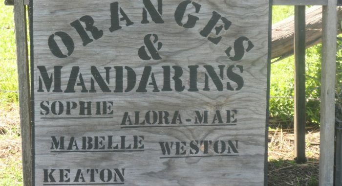 The Granary and Grove Roadside stall