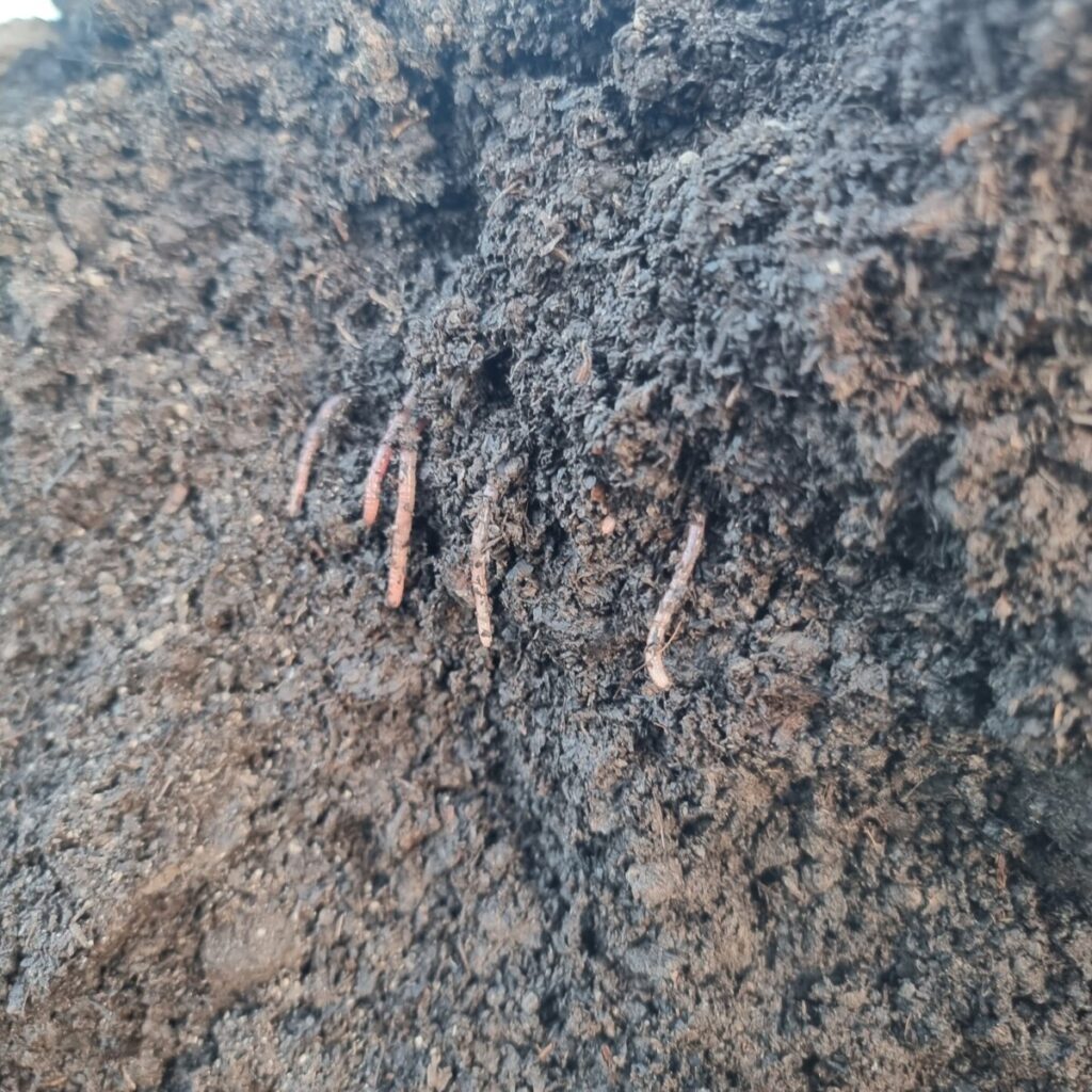 Organic Compost - Roadside Stalls