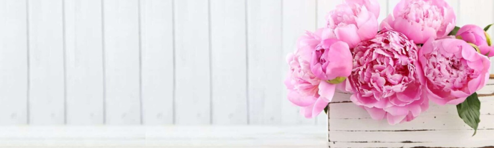 User banner image